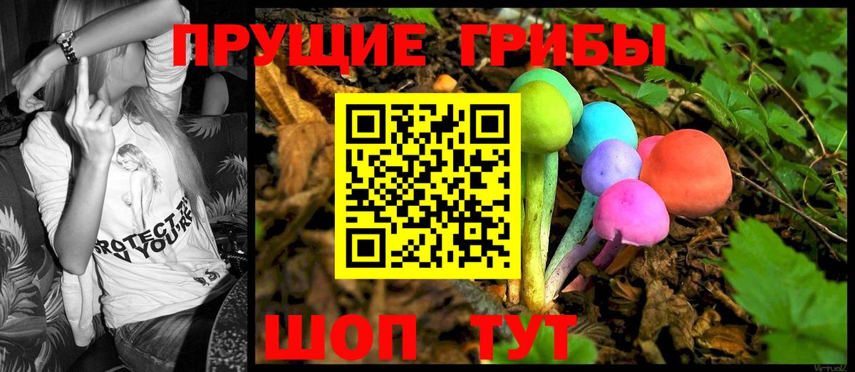 Дагестанские Огни  Псилоцибиновые грибы Psilocybe  Вход с VPN 